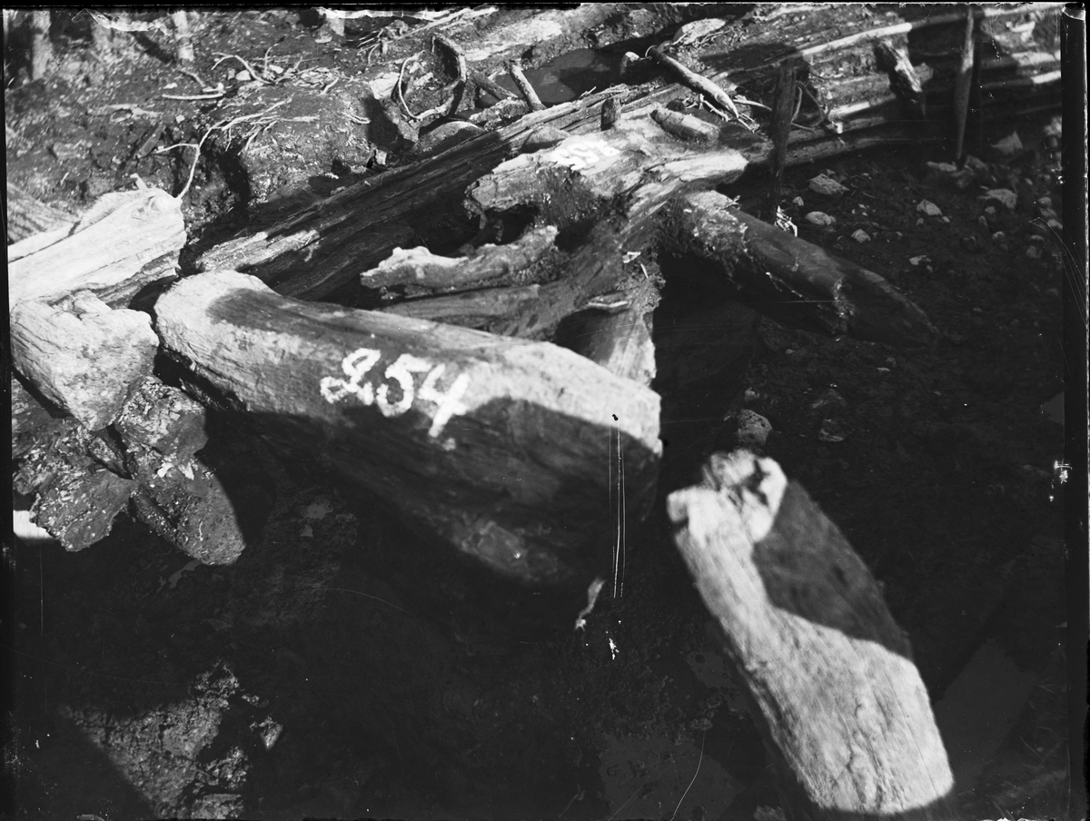Okänd,, Archaeological excavation, Studentholmen, Uppsala 1907