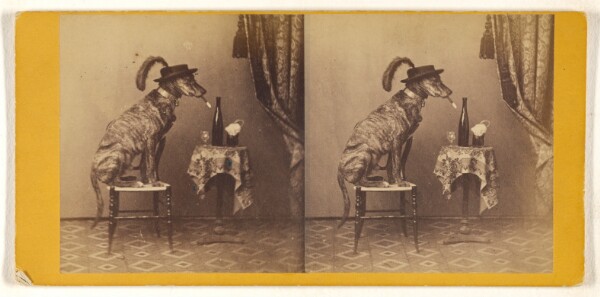 Peter F. Weil, [The jolly dog]/[Dog seated on stool, wearing hat, smoking cigar]