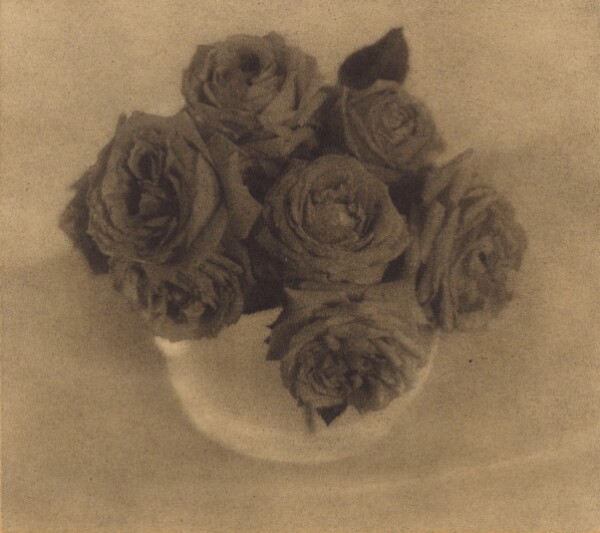 Heinrich Kühn, Roses in a Crystal Vase