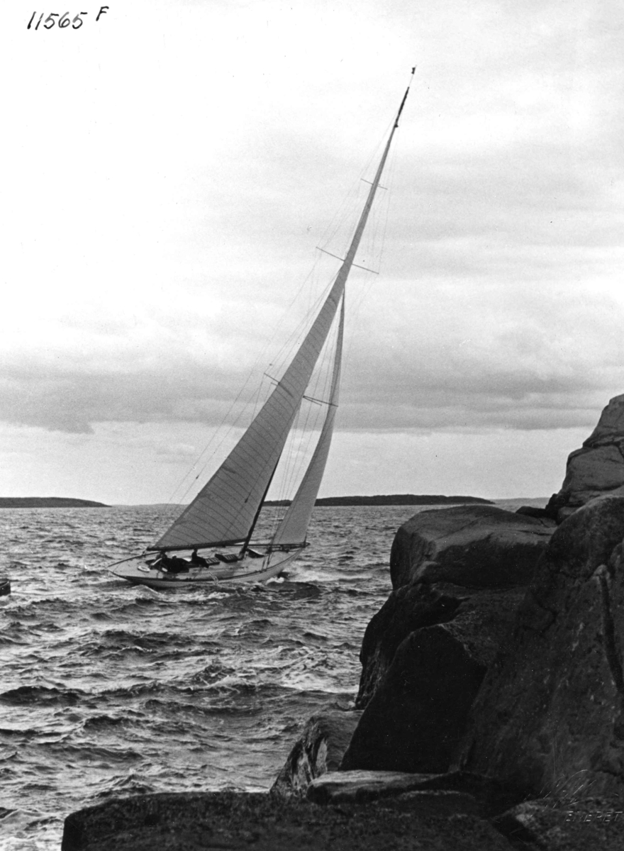 Anders Beer Wilse, Seilsport