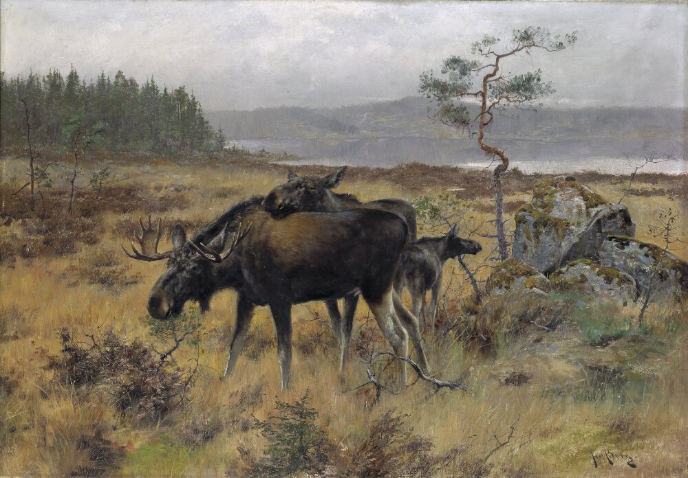 Axel Borg, An Elk family