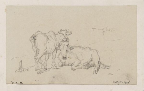 George Chinnery, Two cows