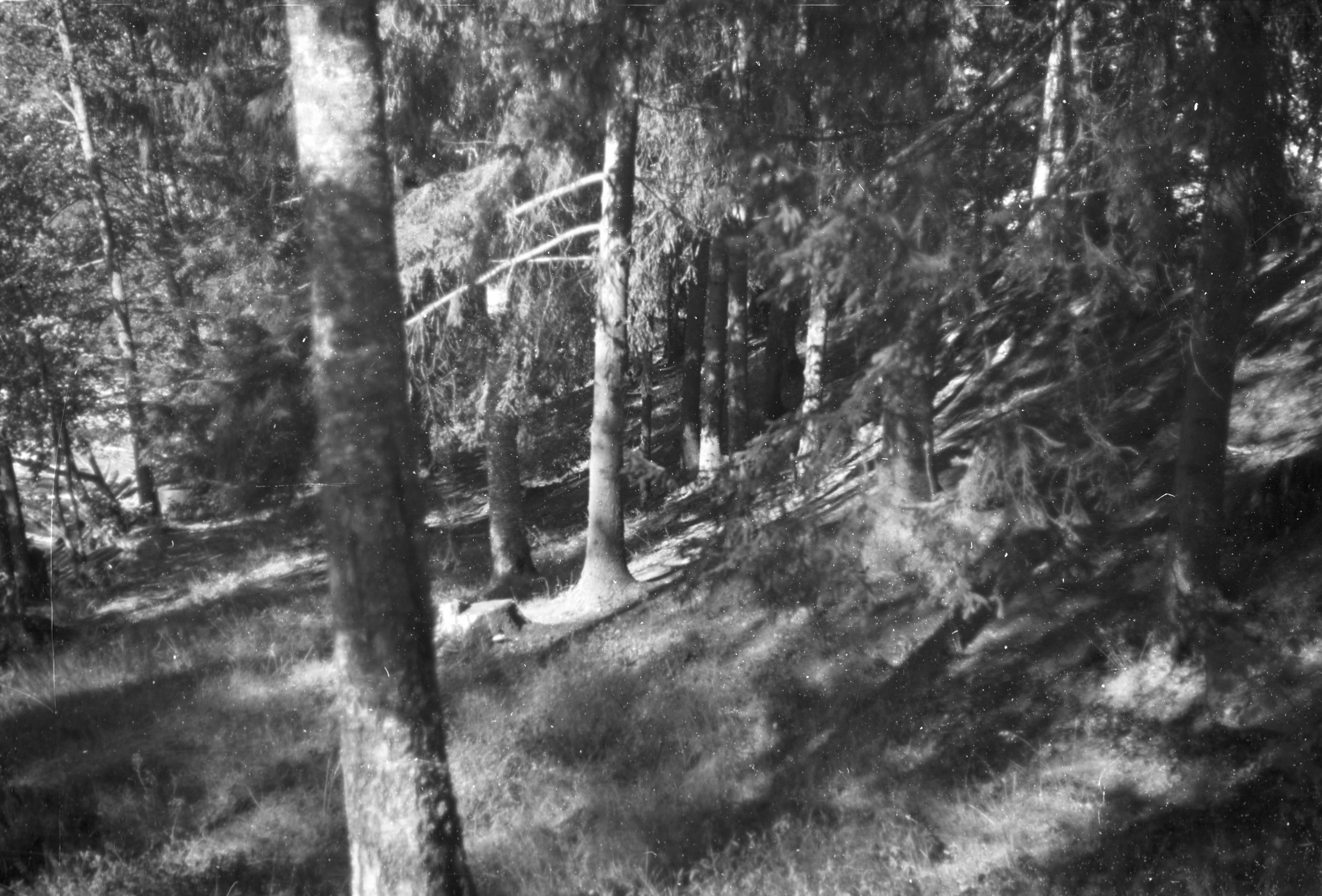Bertil Berthelson, Glava, Gamla kyrkplatsen Vid Fors, Gladisvall