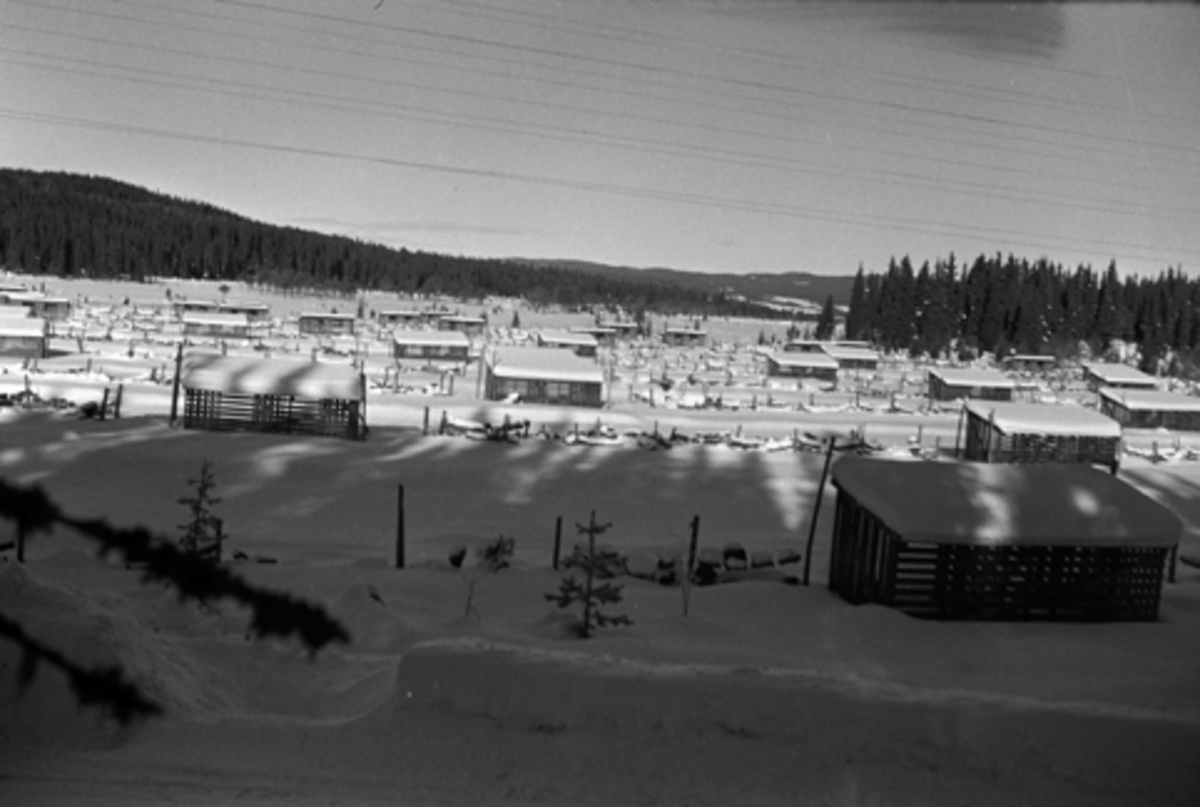 Toralv Bleken-Nilssen, KVEMYRA. FURNES i Ringsaker. TORV. TØRKEHUS. VINTER. TORVPRODUKSJON