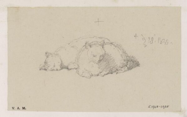 George Chinnery, Two cats