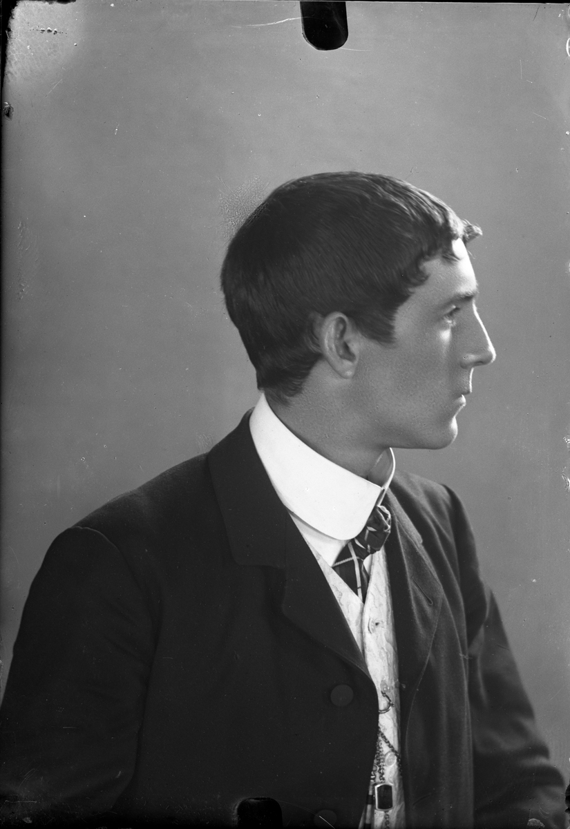 Oscar Holte, Portrett av mann