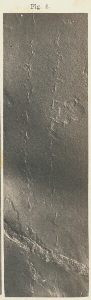 Unknown, Plate 40. Figure 4