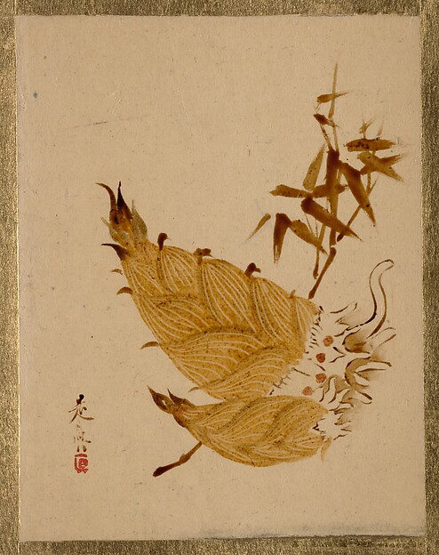 Shibata Zeshin, Bamboo Shoots