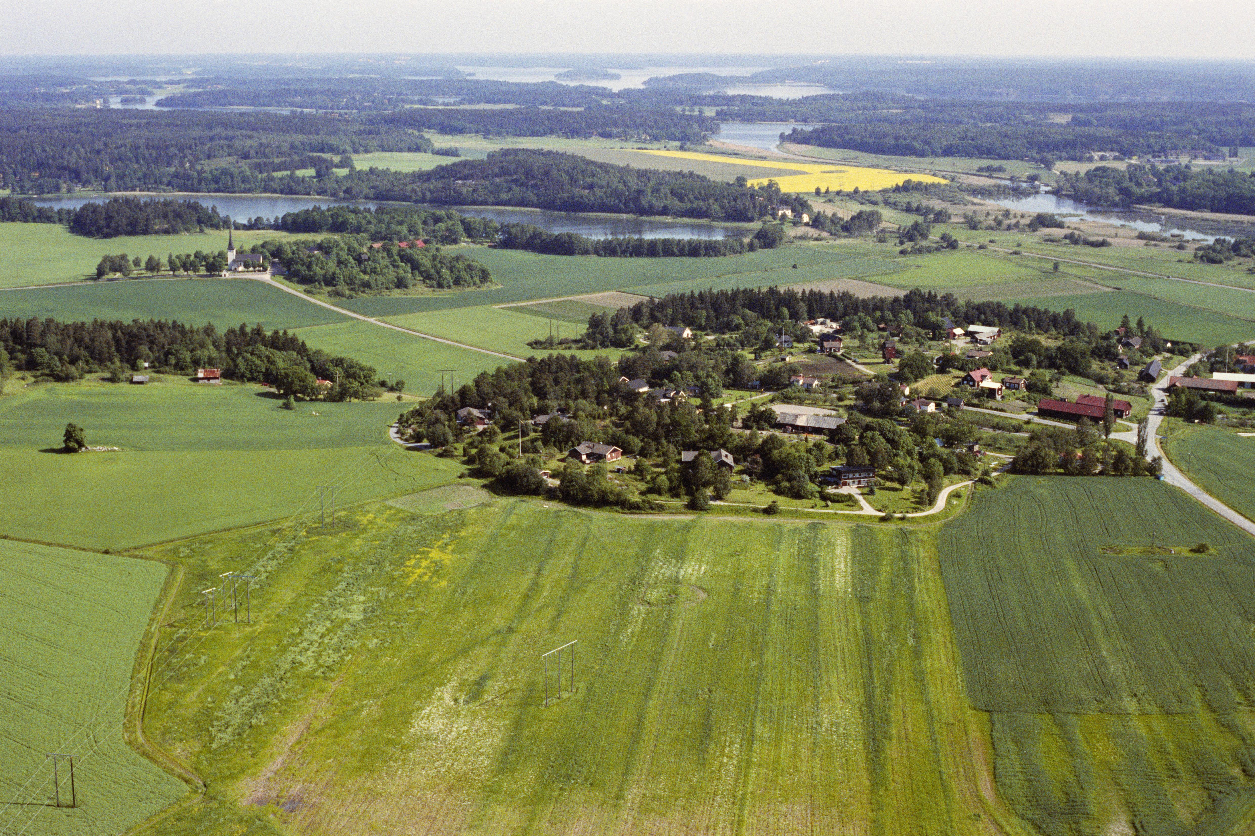 Jan Norrman, Sånga