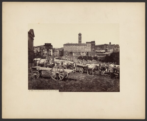 Giorgio Sommer, Roman Forum, taken from the Farnesi Gardens