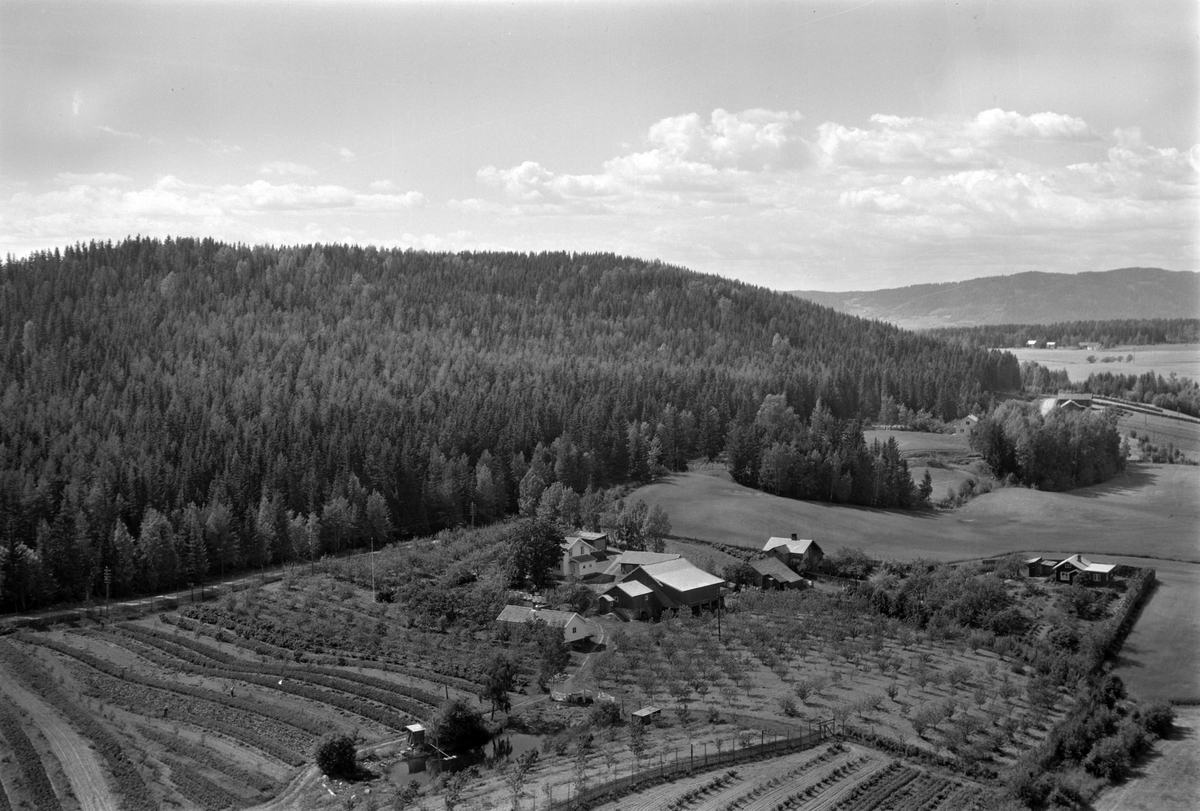 Widerøes Flyveselskap A/S, Flyfoto av Damhagen gard.