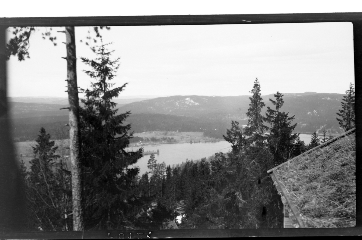 Rolf Sr. Sundt, NF.34664-519