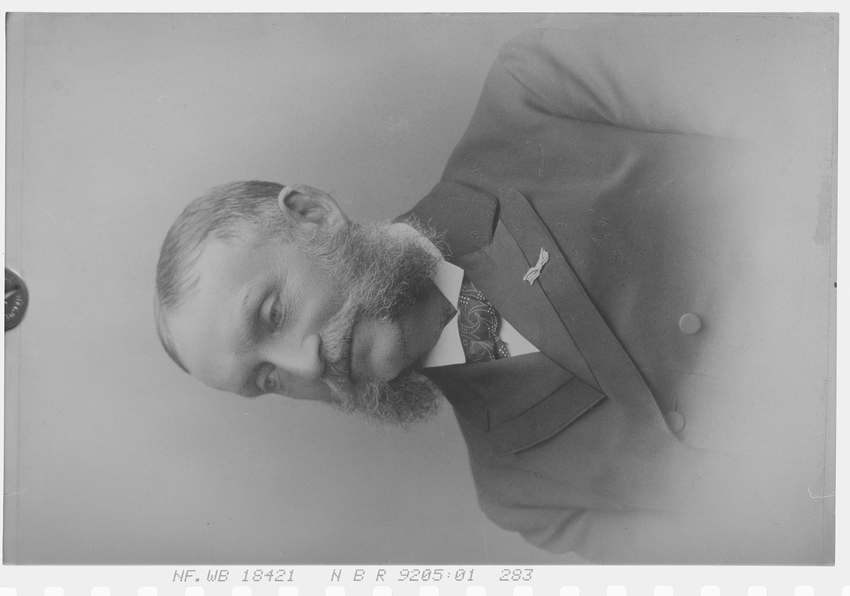 Anders Beer Wilse, Prot: Samson konsul