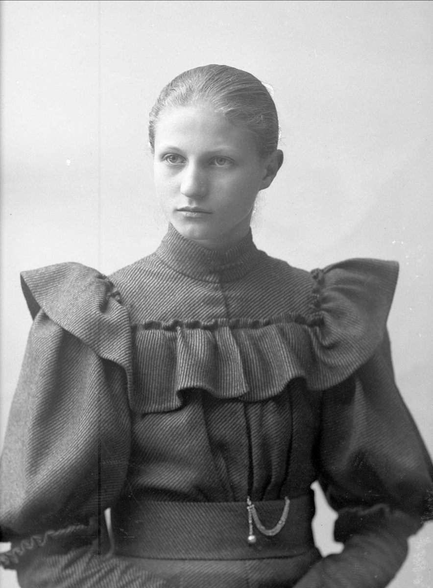Gustav Borgen, NFB.31679