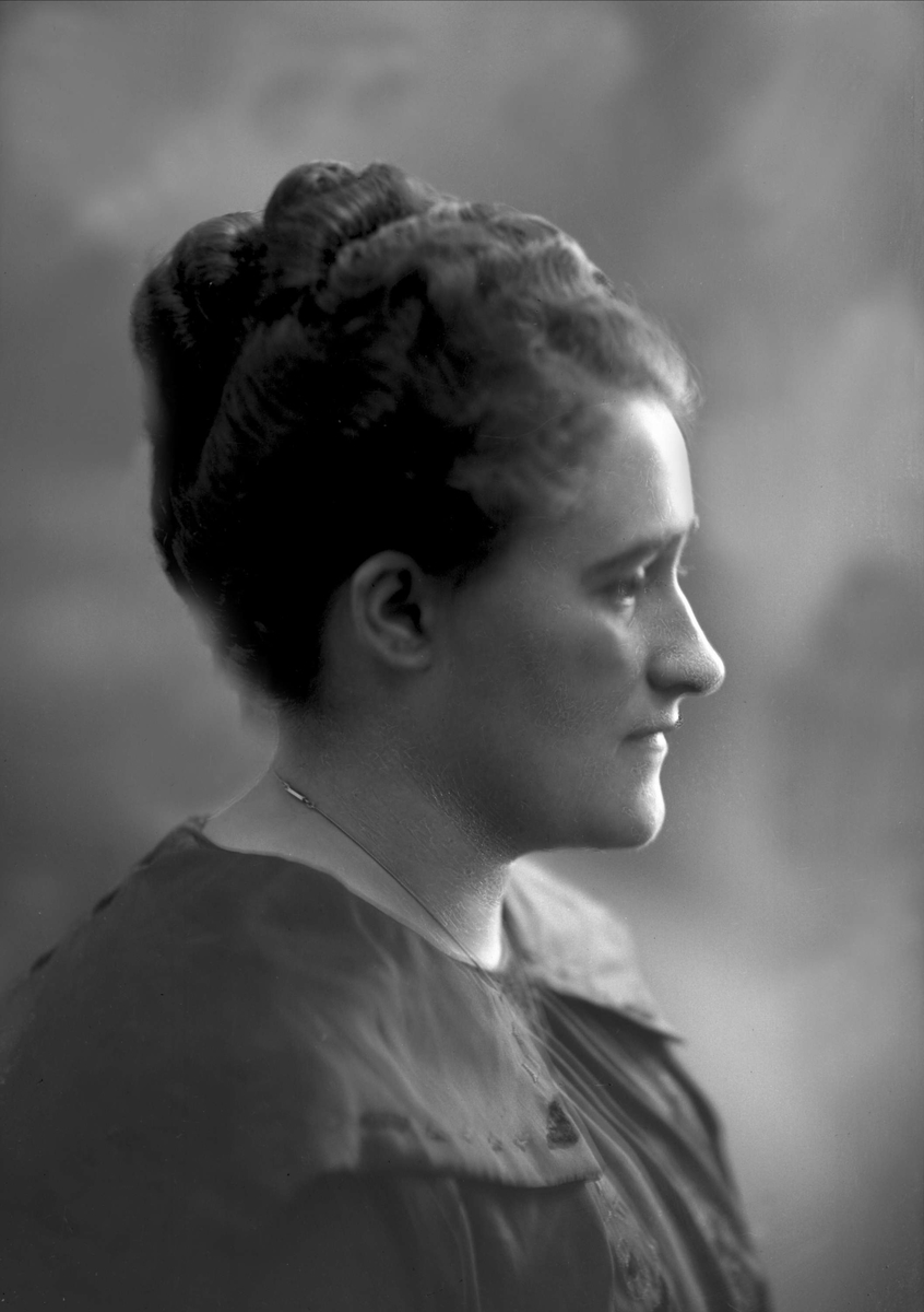 Gustav Borgen, NFB.34689