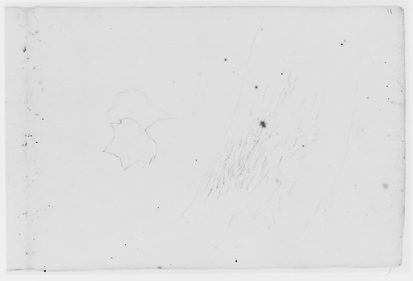 Asher Brown Durand, Leaf and Tree Study (from Sketchbook)