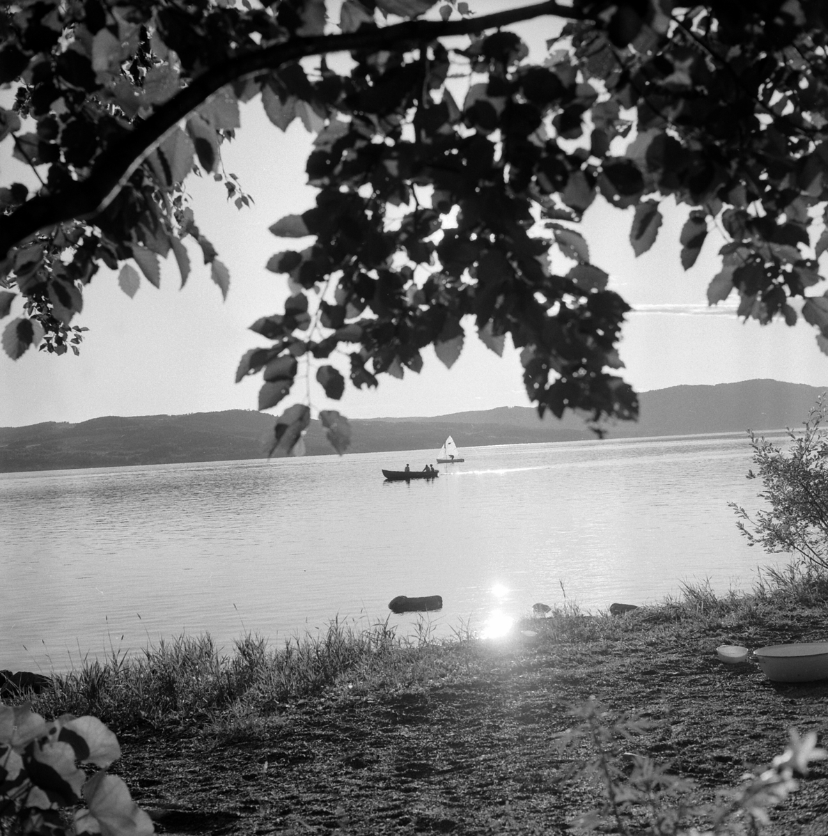 Adolf Skjegstad, ASK-03877