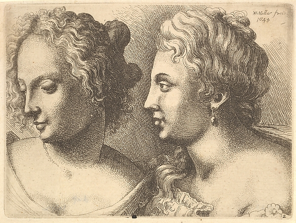Wenceslaus Hollar, Heads of two young women