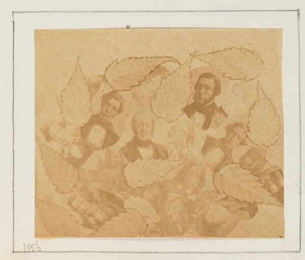 Unknown, [Photomontage with Portraits and Leaves]