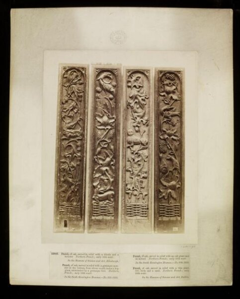 Unknown, Photograph