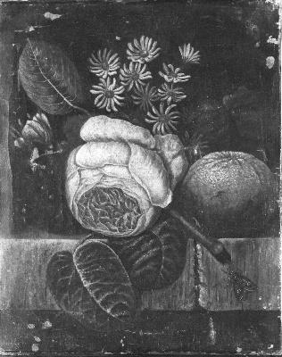 Diëgo Lopez Suasso, Bloemen