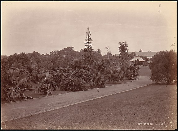 Unknown, Botanical Garden