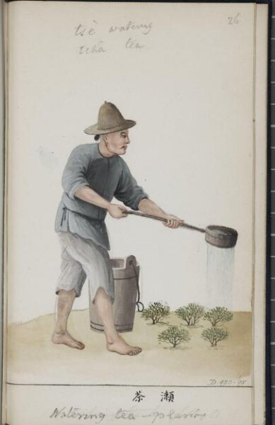 Unknown, Watering Tea Plants