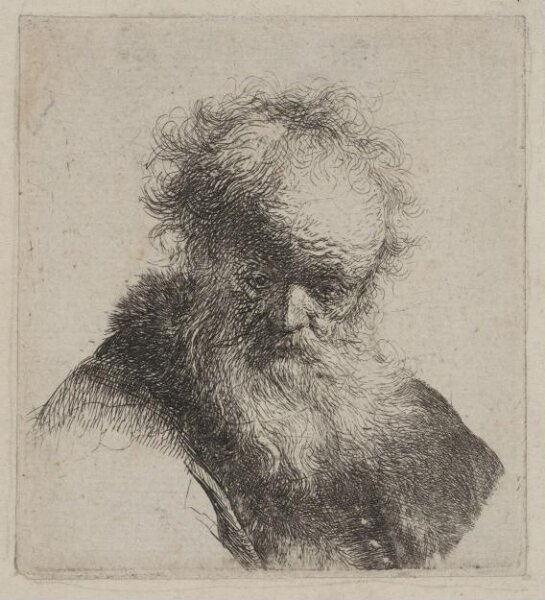 Rembrandt van Rijn, Bust of an Old Man with flowing beard and white sleeve