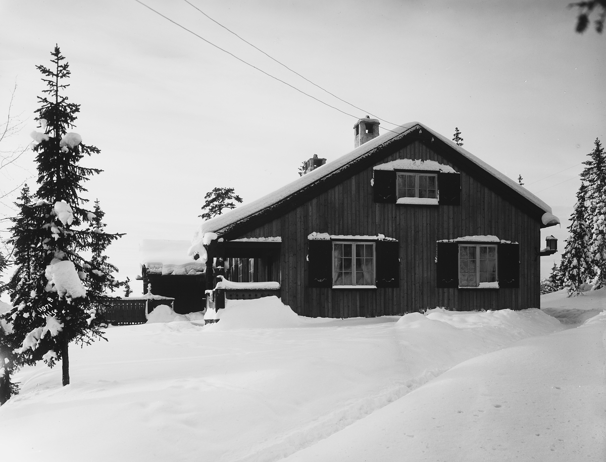 Anders Beer Wilse, Prot: Sundts Trygve, hytte