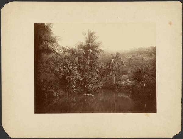 Unknown, [View of Bernica, Saint Paul]