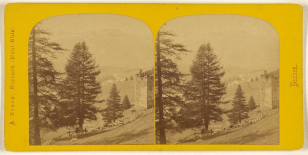 Adolphe Braun, Canton des Grisons. Haute Engadine. Paysage dans les environs de Pontresina.