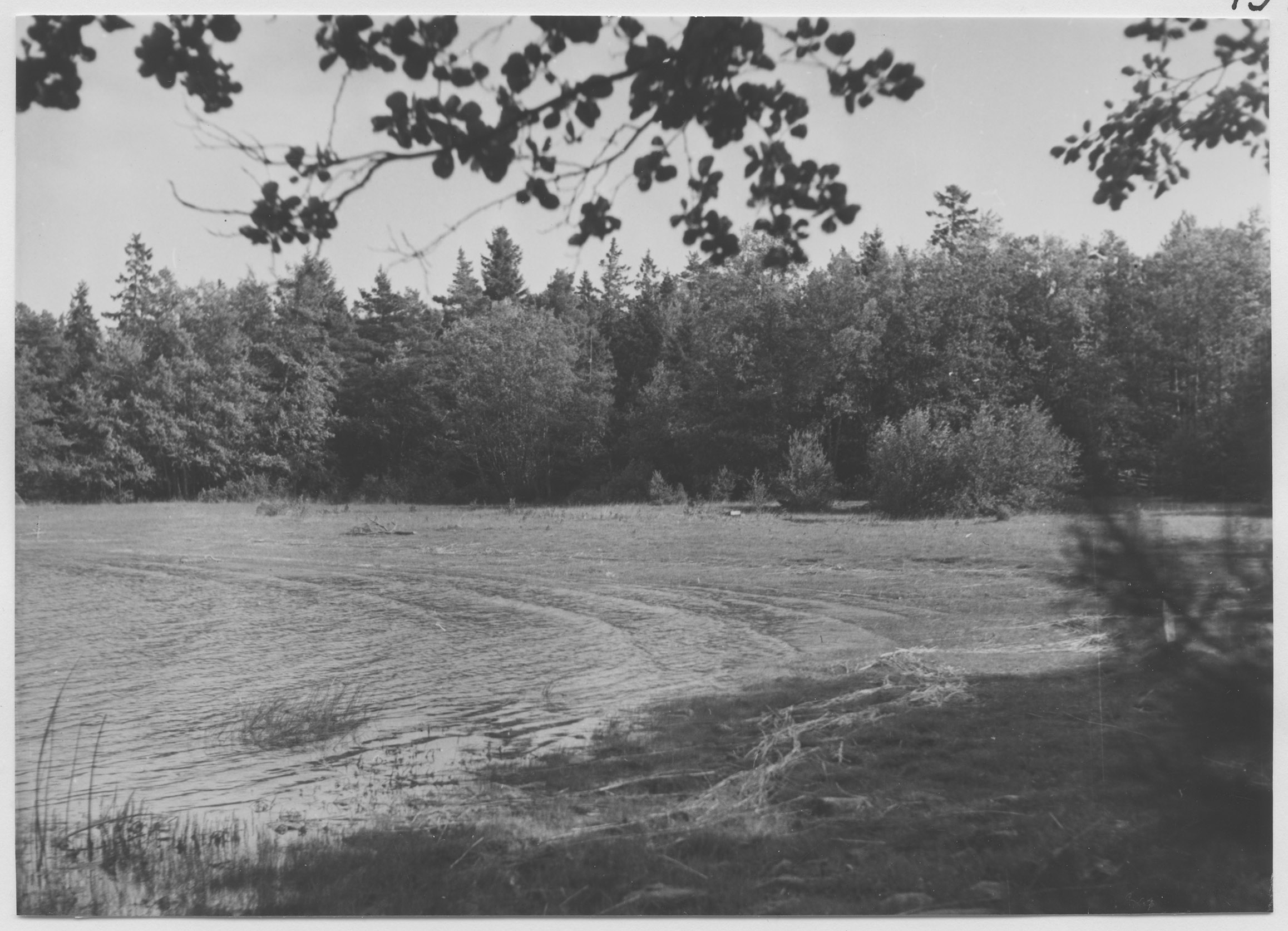 Mårten Sjöbeck, Idön, strandäng