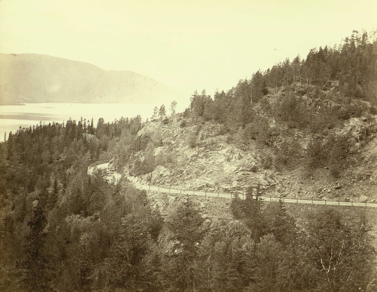 Henry Rosling, Landskap, Homledal, Hole, Buskerud, ved Holsfjorden, sidefjord til Tyrifjorden, med veiparti. Fra serie norske landskapsfotografier tatt av den engelske fotografen Henry Rosling (1828-1911).