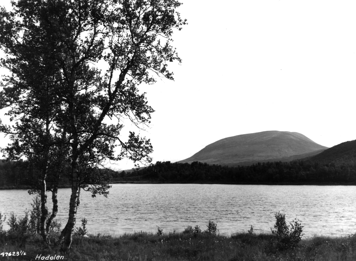 Anders Beer Wilse, Hodalen, landskap