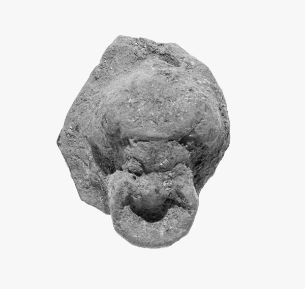 Unknown, Head of a Comic Actor