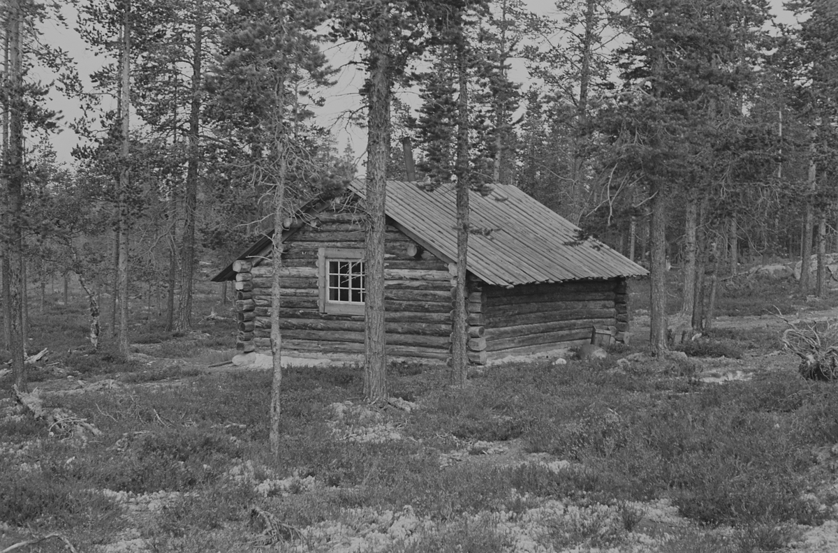 Anders Beer Wilse, Prot: Tömmerkoie