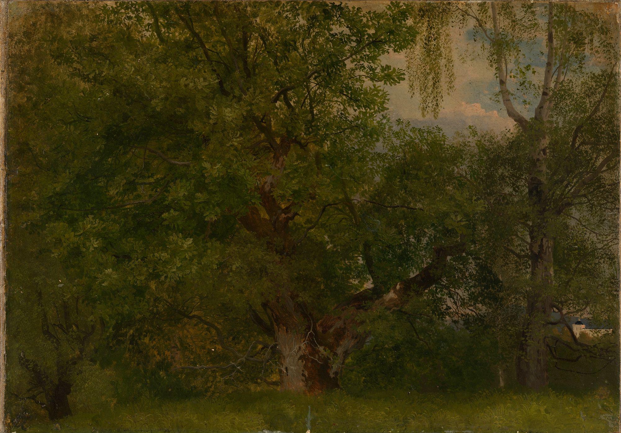August Cappelen, Wood near Ulefoss