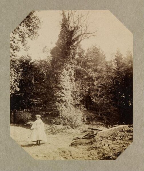 Clementina, Lady Hawarden, Photograph