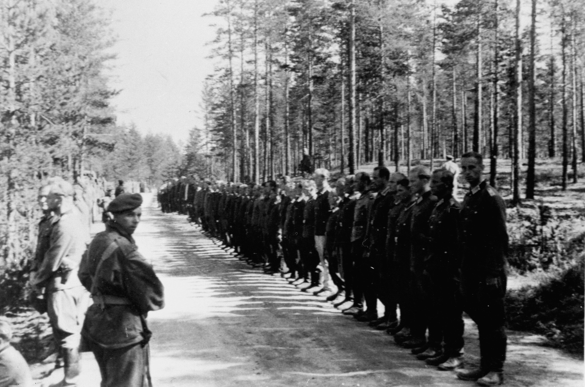 Anno Domkirkeodden, TERNINGMOEN, RASSIA BLANDT TYSKE FANGER, OPPSTILLING, ELVERUM (STANGE), 1 ORG. 22 ROMEDAL DELTAR,