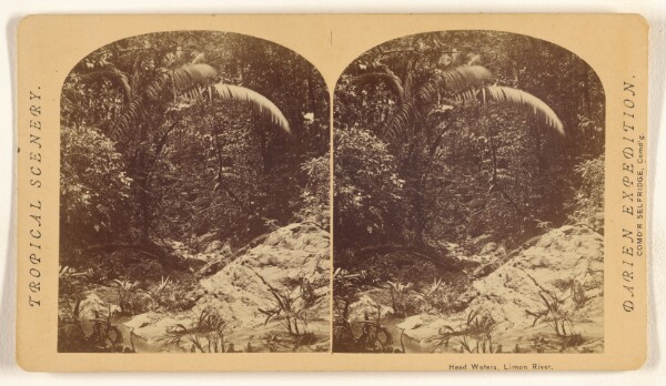 Timothy H. O'Sullivan, Head Waters, Limon River.