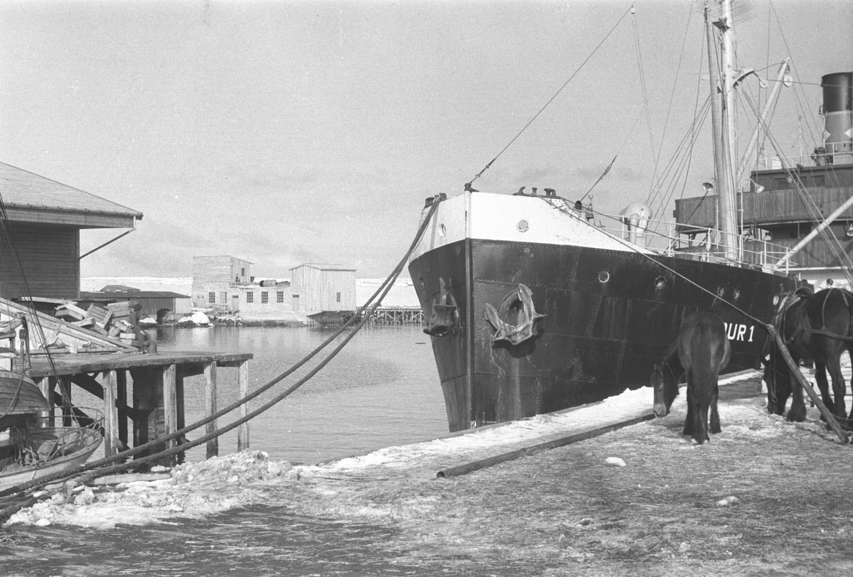 Ola Hanche-Olsen, NO.F004045