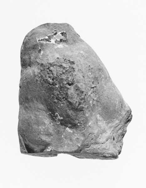 Unknown, Female Head