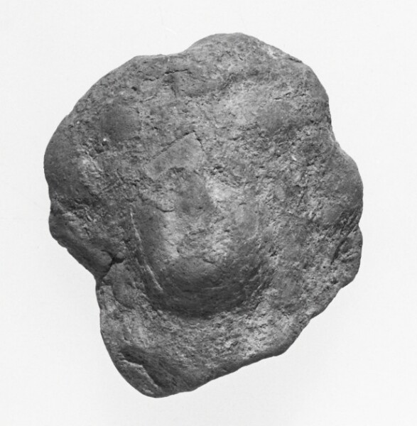 Unknown, Female Head