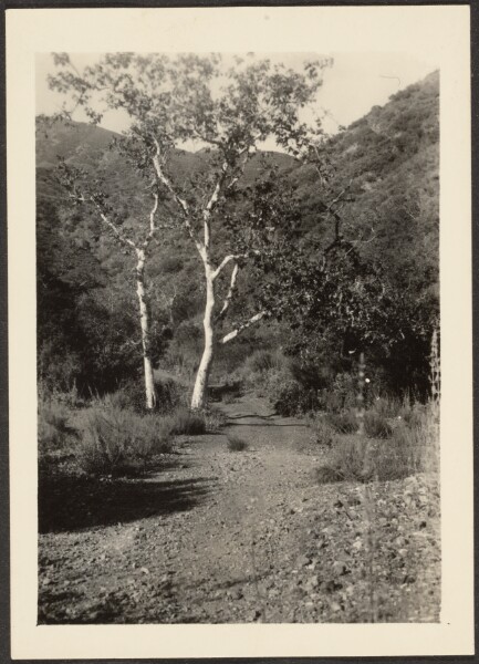 Louis Fleckenstein, [Landscape]