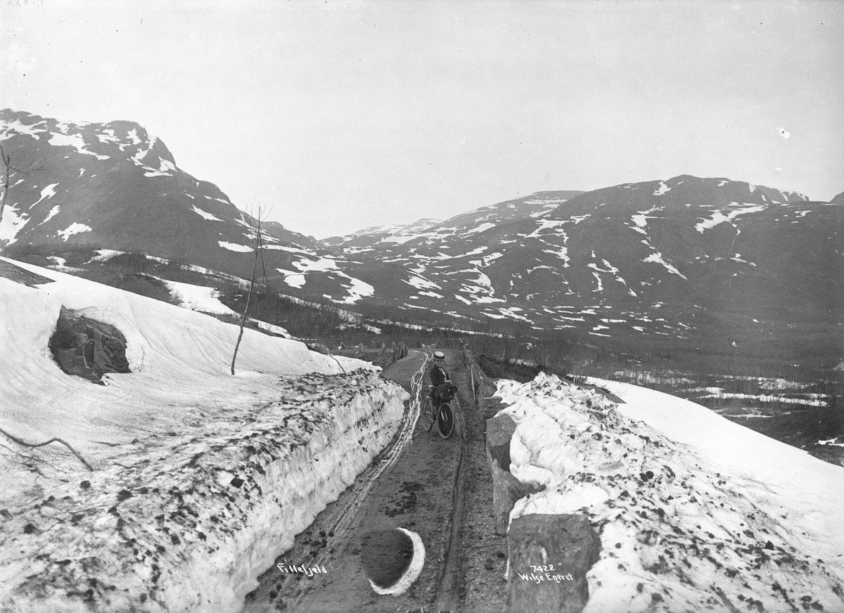 Anders Beer Wilse, Prot: Valdres Veien opover