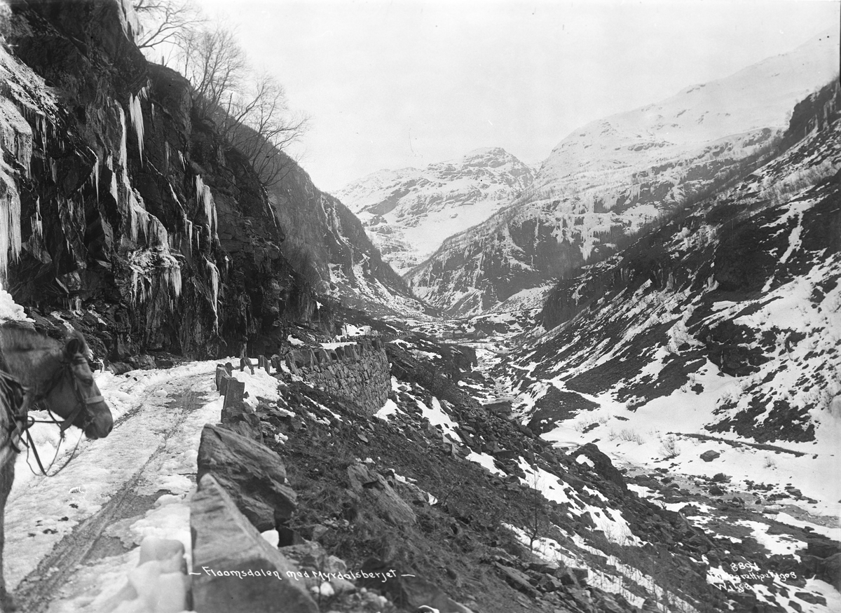 Anders Beer Wilse, Prot: Bergensbanen Flåmsdalen mot Myrdalsberget