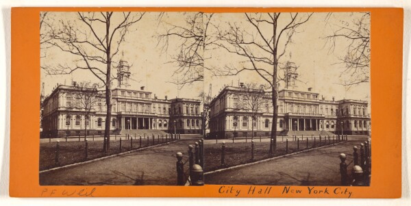 Peter F. Weil, [City Hall. New York.]