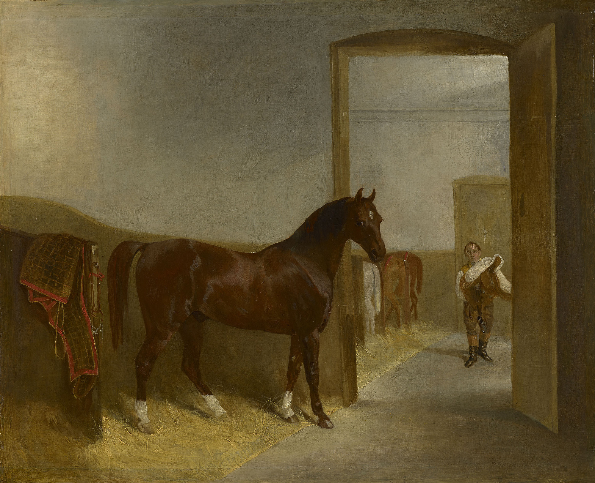 Richard Barrett Davis, Julius