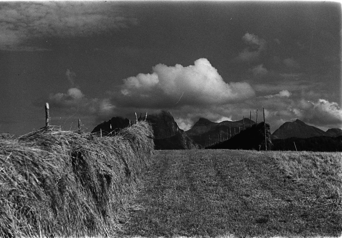 Anders Beer Wilse, "Prot: hesjer Strandåtind Platen Fritt Folk"