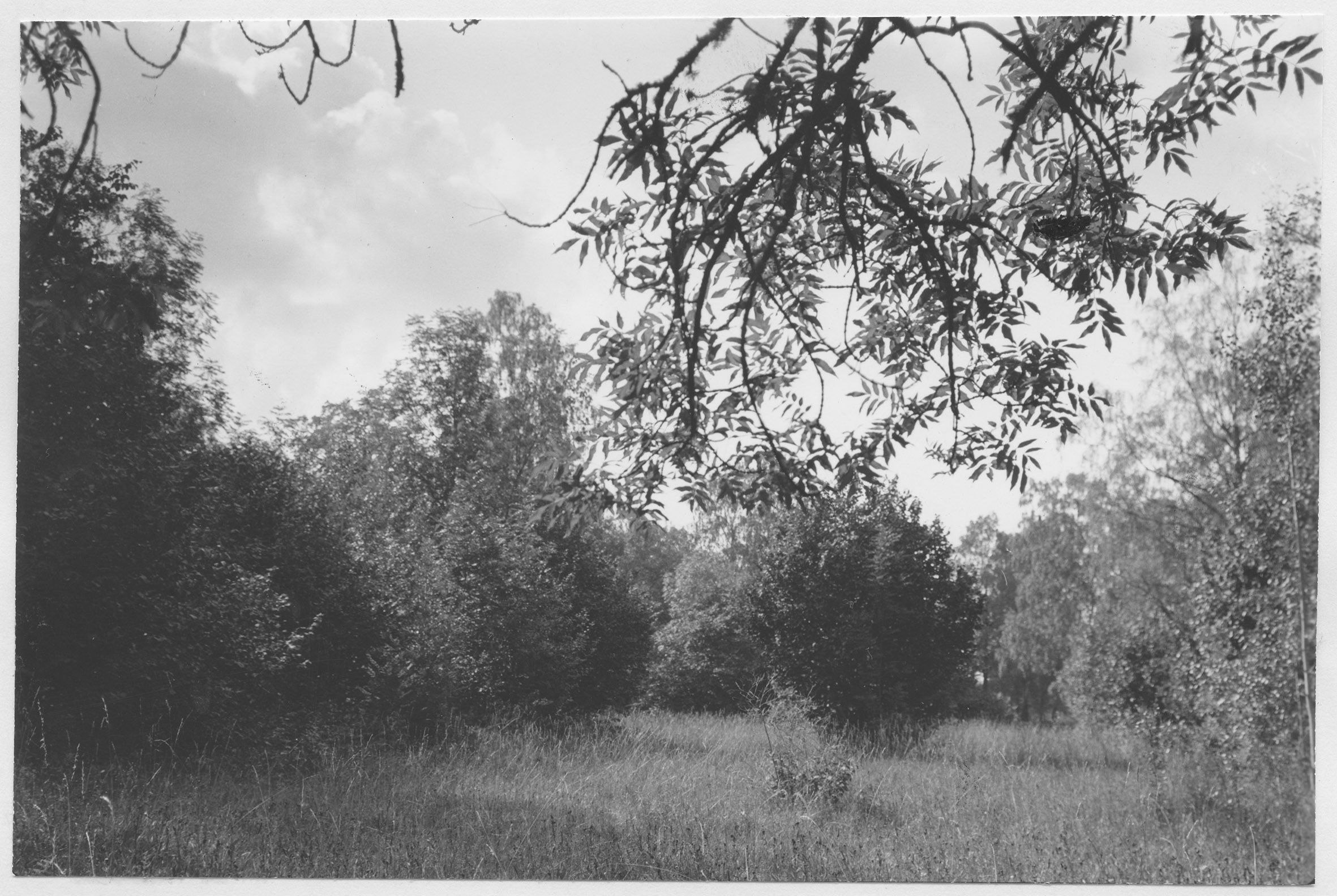 Mårten Sjöbeck, Herrfallsäng